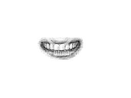 teeth illustrations